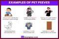 Common Pet Peeves: Everyday Annoyances