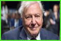 David Attenborough Net Worth, Age, Height, Bio, Birthday, Wiki!
