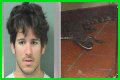 Florida Man Throws Crocodile In Drive Thru
