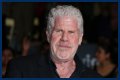 
How Much Money Does Ron Perlman Make? Latest Income Salary
